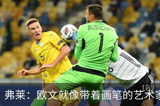 弗莱：欧文就像带着画笔的艺术家 他的进攻动作衔接就像画画一样